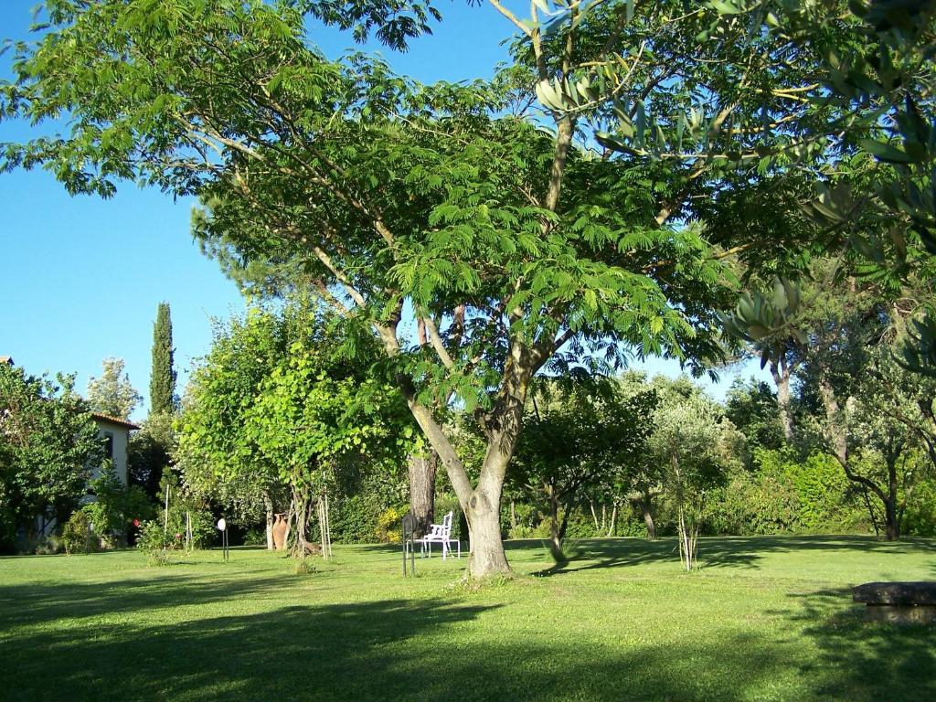 Ortali Country House Quarata エクステリア 写真